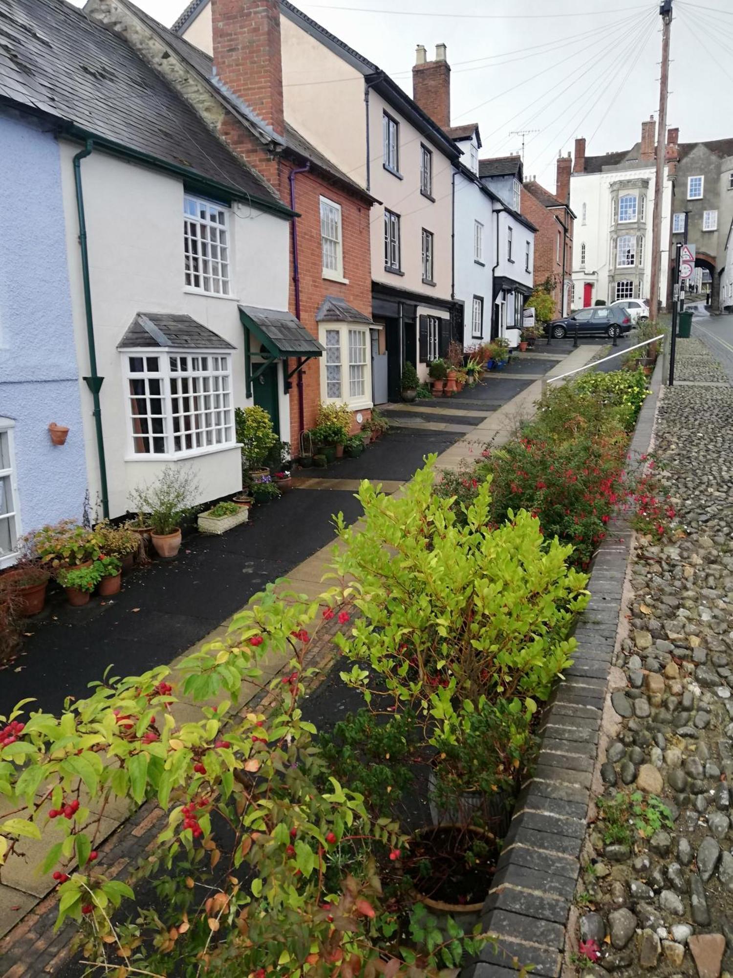 Toad Hall Ludlow Eksteriør bilde